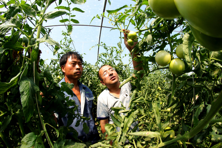 Hebei Xuanhua Science and Technology First Secretary in the village to help rural developmentのeditorial素材