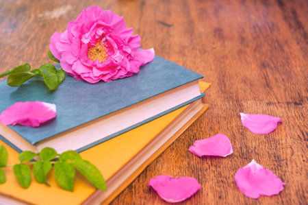 Two closed books with rosehip flower and petals on a wooden tableの写真素材
