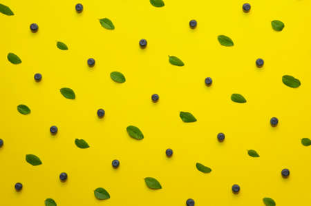Blueberries with leaves laid out as a pattern on a bright yellow background in flat lay style, top viewの写真素材