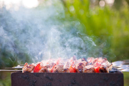 Side view of kebabs called shashlik roasting on skewers on the brazier outdoorの写真素材