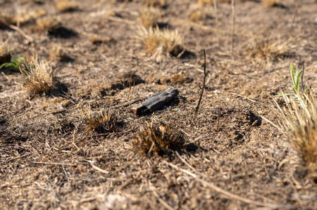 field with burnt grass and ashes after wildfire, damage ecology, forest fires