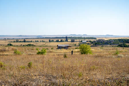 steppe with yellow grass, dry rustic fieldの写真素材