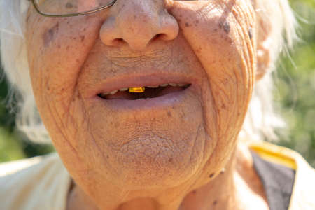 old lady beautiful face and grey hair, elderly woman in her garden, grandmother smiling close up