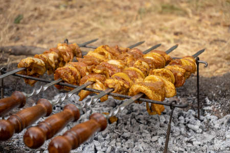 Cook shashlik barbecue outdoors in the autumn forest. Bonfire in the woodsの写真素材