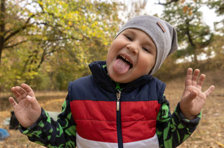 Little three years old boy outdoors portrait. Toddler boy walking in a park. Cute boy in fleece jacket and sleeveless jerkin on camping in a forestの写真素材