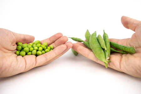 ripe raw green pea open and closed