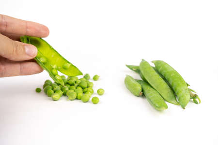 ripe raw green pea open and closedの写真素材