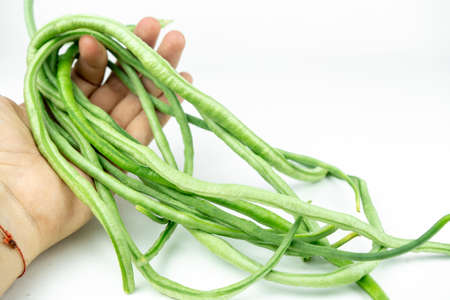 fresh long green beans in a handの写真素材