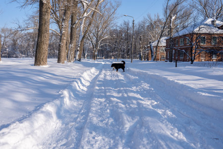 Small city covered with snow. Little buildings and houses on winter with a lot of snow drifts on a street.の写真素材