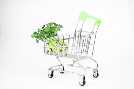 Fresh eco farming greens delivery concept, young microgreens in a shopping cart on white backgroundの写真素材