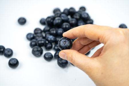 Group of fresh ripe blueberries on white backgroundの写真素材