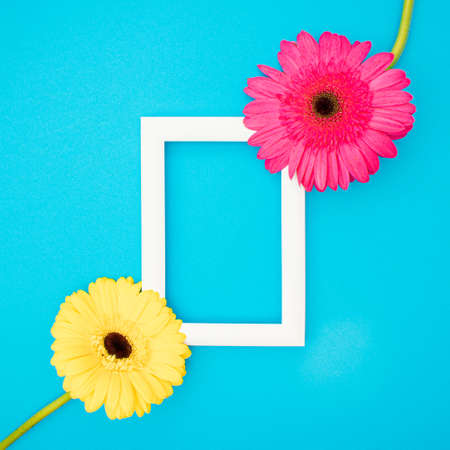 Pink and yellow flowers on a pastel blue background. Nature minimal concept with white frame.の写真素材
