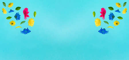 Advertisement idea with colorful summer flowers and green leaves against pastel blue background....