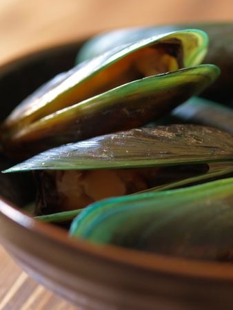 green mussels        の写真素材