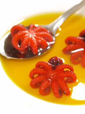 octopus soup      の写真素材