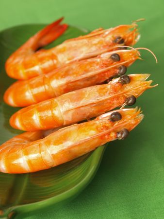 shrimps       の写真素材