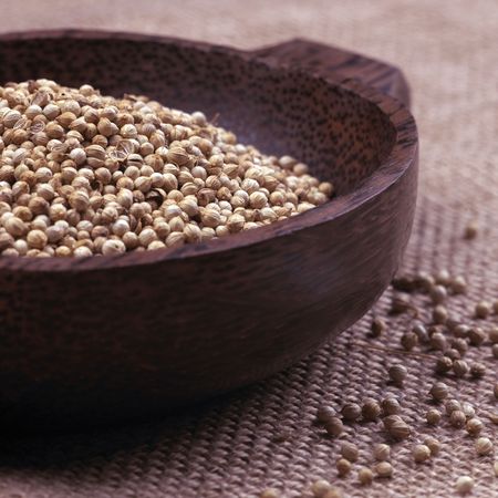 coriander seedsの写真素材