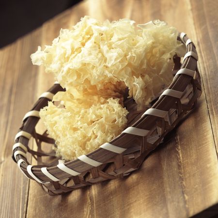 snow fungusの写真素材