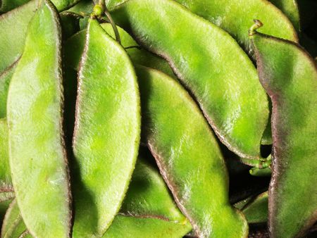 heap of indian beans      
