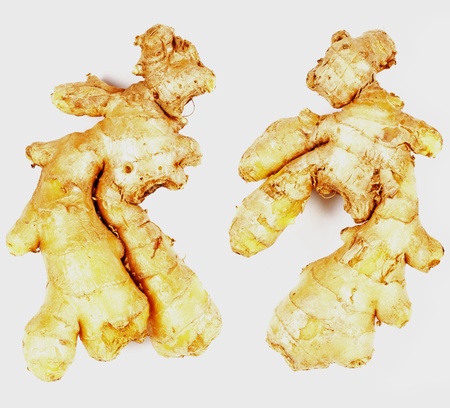 ginger    