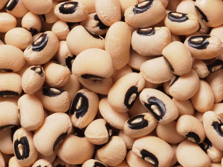 black eye peas  の写真素材