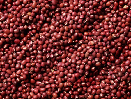 red mung beansの写真素材