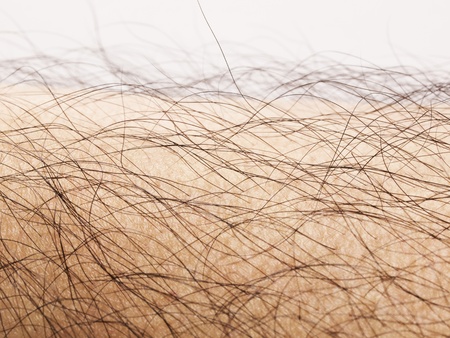 close up of human body hairの写真素材