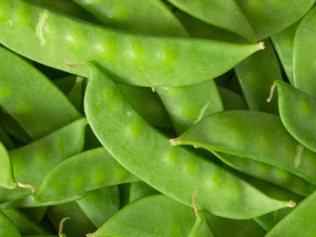 close up of snow peas food backgroundの写真素材