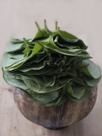 close up of a heap of betel leavesの写真素材