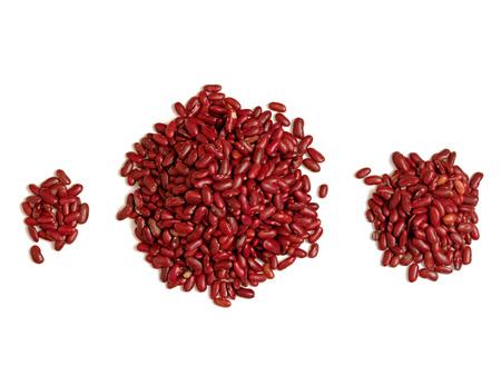 bean counter accounting and banking concept