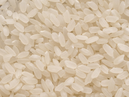 close up of short grain japanese calrose rice food backgroundの写真素材