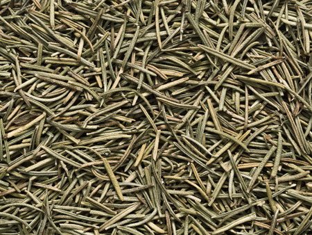 close up of rosemary herb food backgroundの写真素材