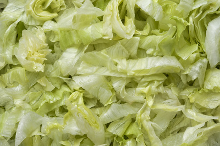 close up of julienned lettuce food backgroundの写真素材
