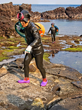 Jeju, South Korea - 3rd November 2017: haenyeo traditional female fishing divers of jeju island. they considered a national treasure. The majority of the divers are above 50 years old with the oldest being 80.のeditorial素材