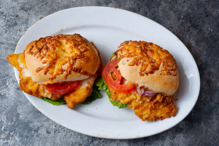 close up of german schnitzel sandwichの写真素材