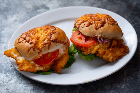 close up of german schnitzel sandwichの写真素材