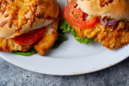close up of german schnitzel sandwichの写真素材