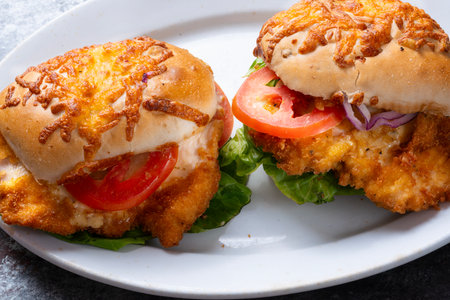 close up of german schnitzel sandwichの写真素材