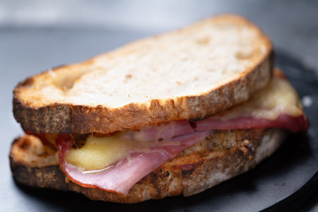 close up of rustic american artisan ham and cheese sandwich