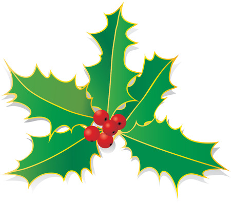 vector illustration of the hollyのイラスト素材