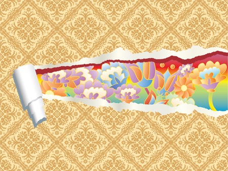 vector illustration with ripped  damask wallpaperのイラスト素材