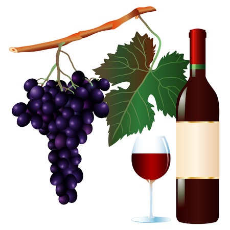 vector muscat grape and wine with blank labelのイラスト素材