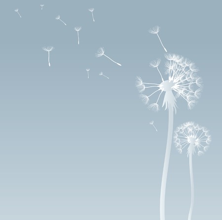 vector dandelion backgroundのイラスト素材