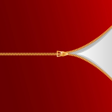 vector golden zipperのイラスト素材