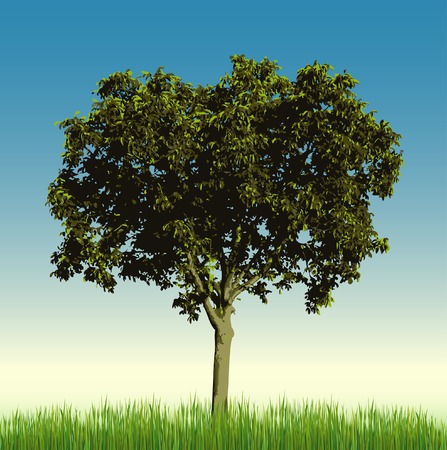 vector nut tree alone on meadowのイラスト素材
