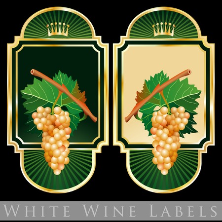 labels for white wine のイラスト素材