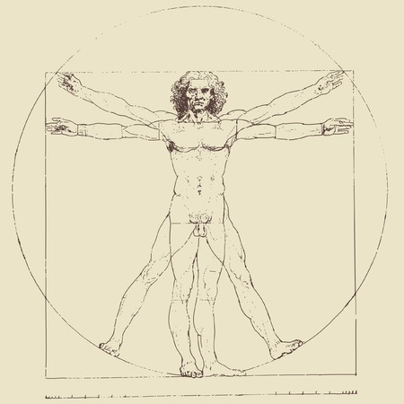 Leonardo da Vinci's vitruvian man, vector drawingのイラスト素材