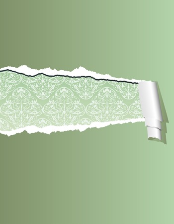  illustration with olive green ripped wallpaper, layered and editableのイラスト素材