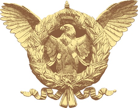   vintage drawing of the eagle with crest and crownのイラスト素材