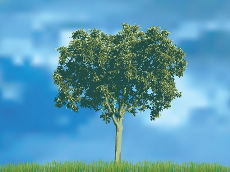 vector illustration of the nut tree in the grass over the cloudy skyのイラスト素材